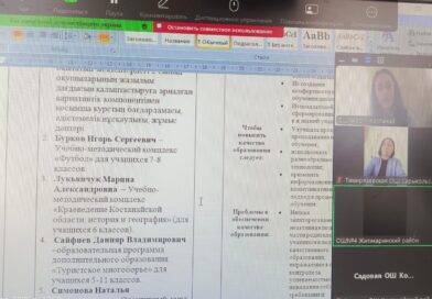 Методический дистанционный семинар по теме:  «Трансляция и популяризация передового педагогического опыта педагогов»